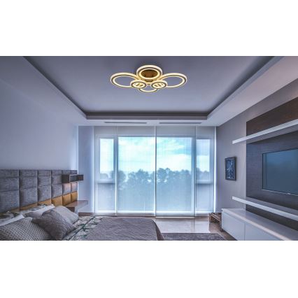 Globo - LED regulējams griestu gaismeklis LED/60W/230V 2700-6000K 56x78 cm antracīts + tālvadības pults