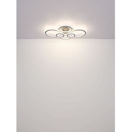 Globo - LED regulējams griestu gaismeklis LED/60W/230V 2700-6000K 56x78 cm antracīts + tālvadības pults