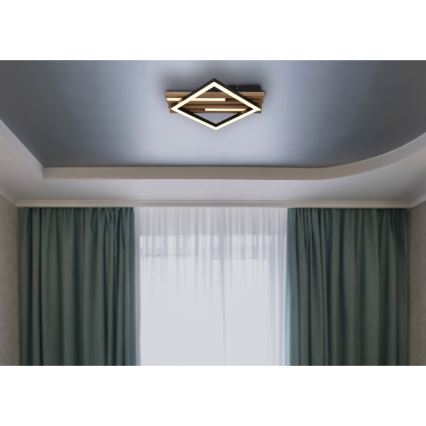 Globo - LED Griestu lampa LED/19W/230V 3000K 31x33 cm