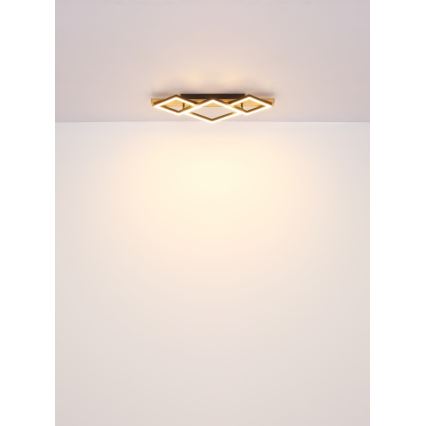 Globo - LED griestu lampa LED/32W/230V 3000K 31x61cm