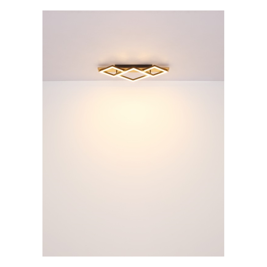 Globo - LED griestu lampa LED/32W/230V 3000K 31x61cm