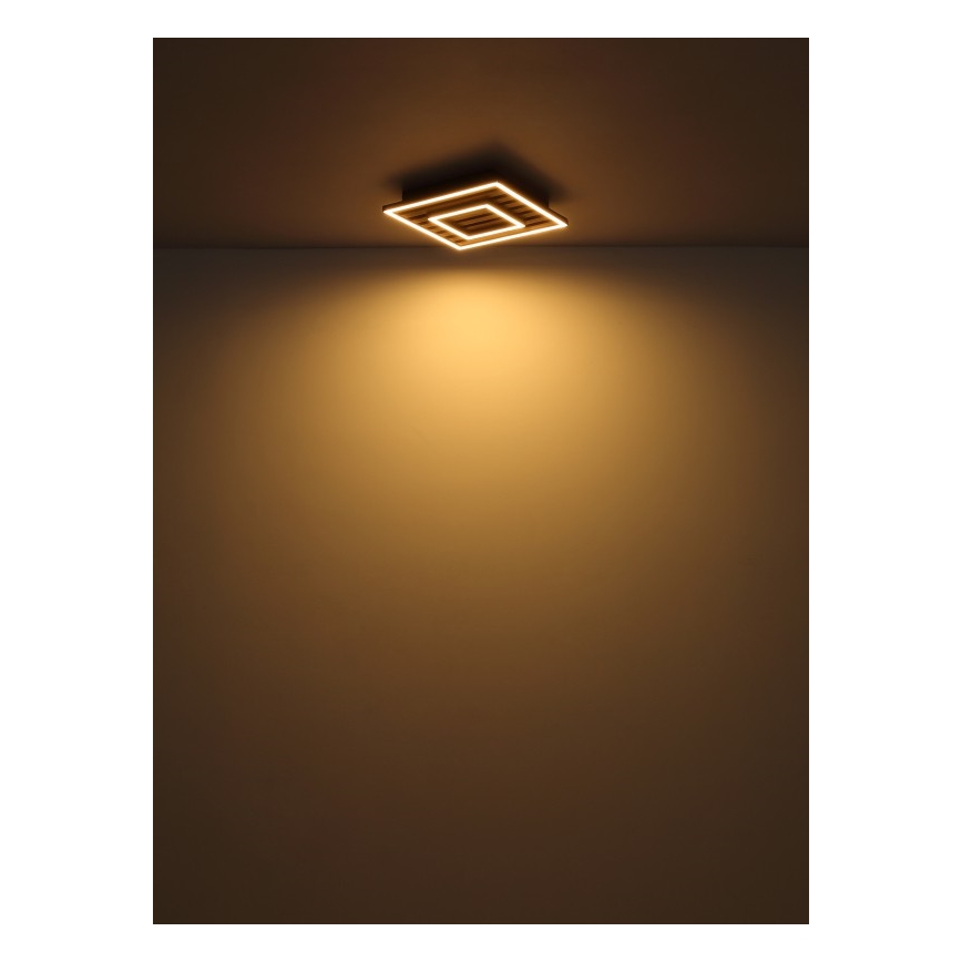 Globo - LED griestu lampa LED/18W/230V 3000K 30x30 cm