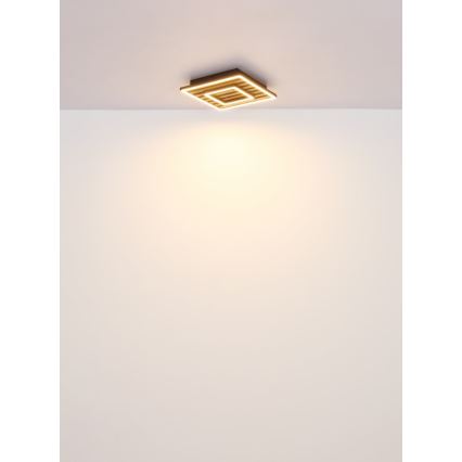 Globo - LED griestu lampa LED/18W/230V 3000K 30x30 cm