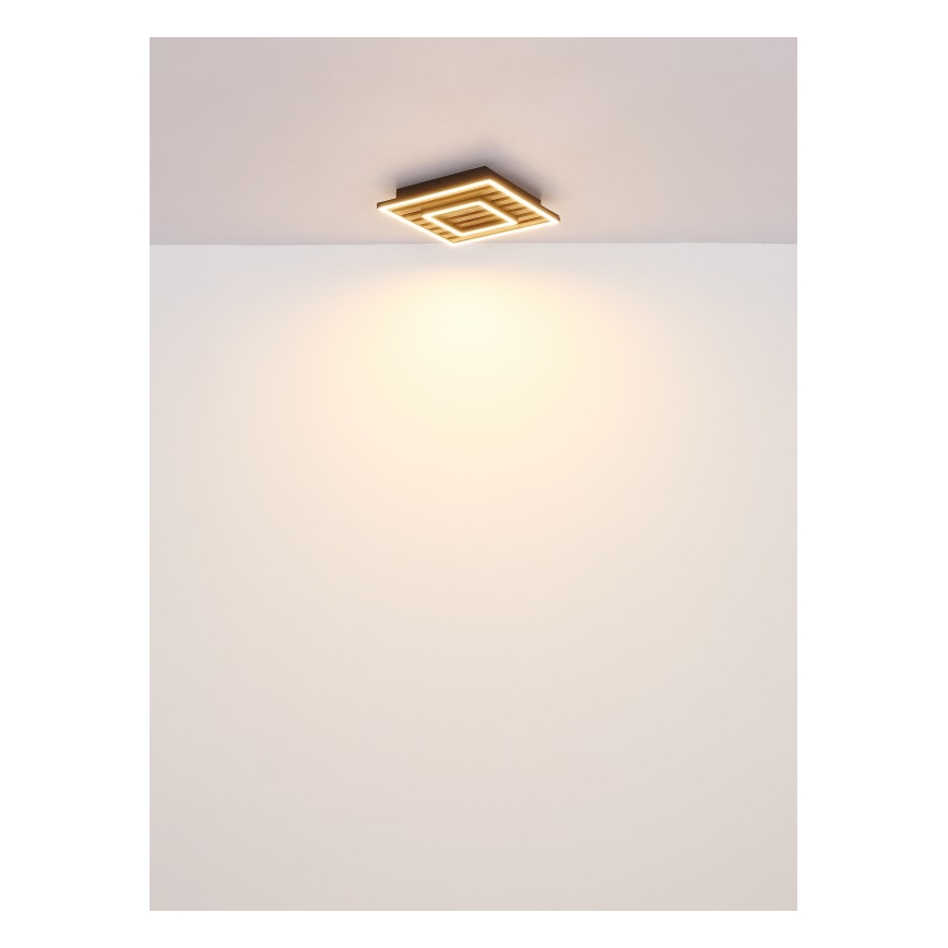 Globo - LED griestu lampa LED/18W/230V 3000K 30x30 cm