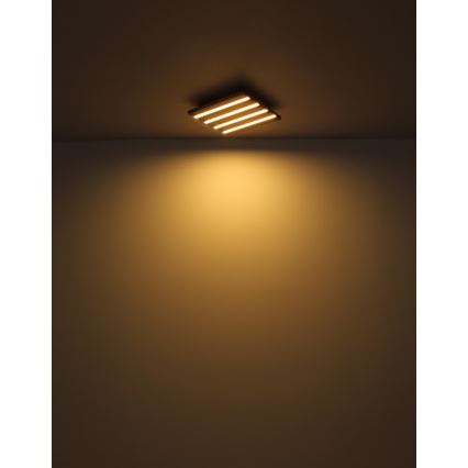 Globo - LED griestu gaismeklis LED/15W/230V 3000K 30x30 cm