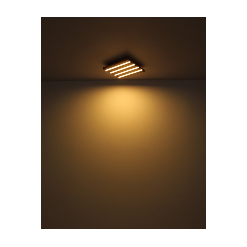 Globo - LED griestu gaismeklis LED/15W/230V 3000K 30x30 cm
