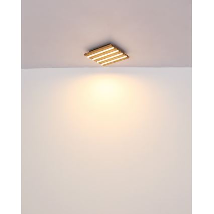 Globo - LED griestu gaismeklis LED/15W/230V 3000K 30x30 cm