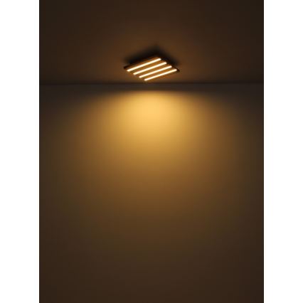Globo - LED Griestu lampa LED/30W/230V 3000K 45x45 cm koks