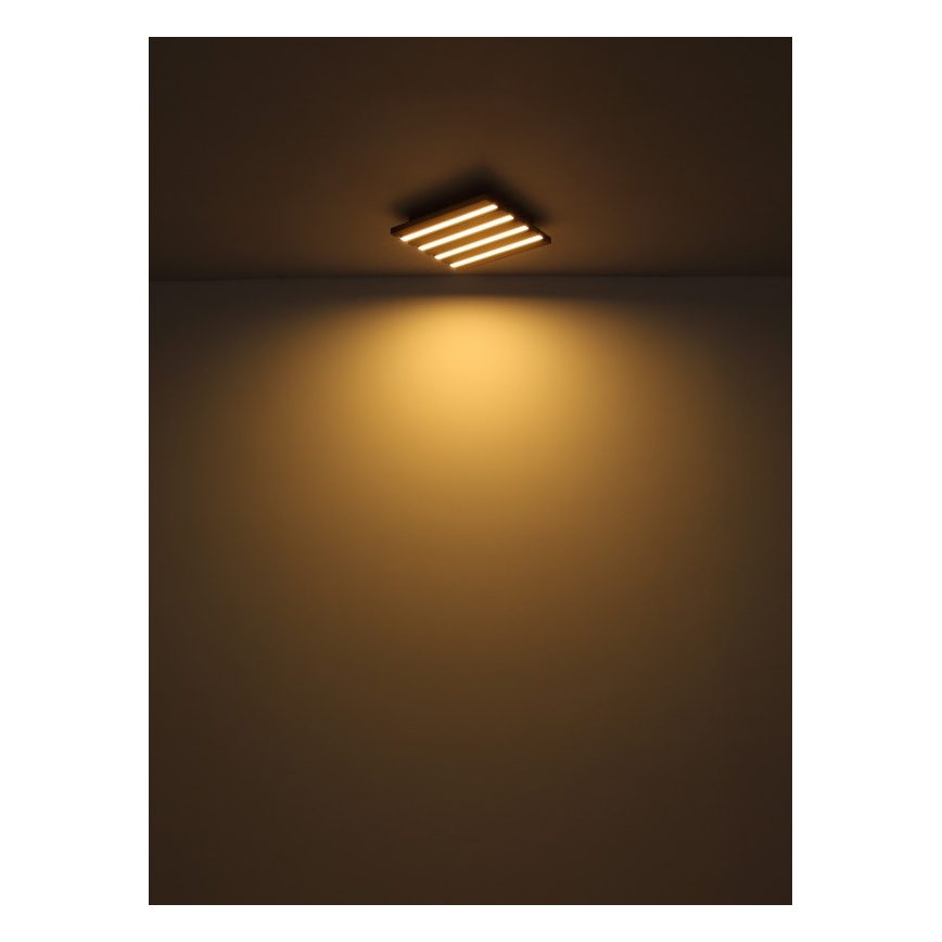 Globo - LED Griestu lampa LED/30W/230V 3000K 45x45 cm koks