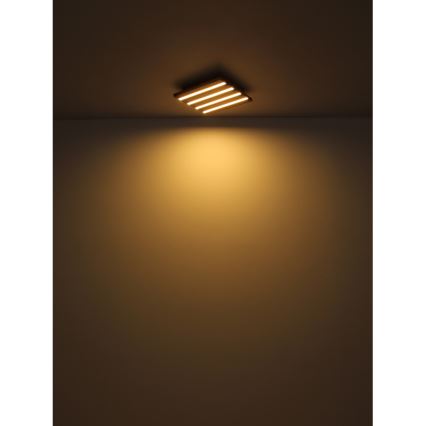 Globo - LED Griestu lampa LED/30W/230V 3000K 80x20 cm koks