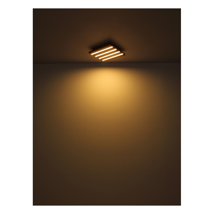 Globo - LED Griestu lampa LED/30W/230V 3000K 80x20 cm koks
