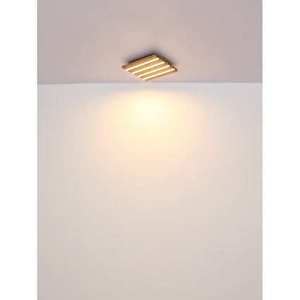 Globo - LED Griestu lampa LED/30W/230V 3000K 80x20 cm koks
