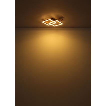 Globo - LED griestu lampa LED/16W/230V 3000K 33x44 cm