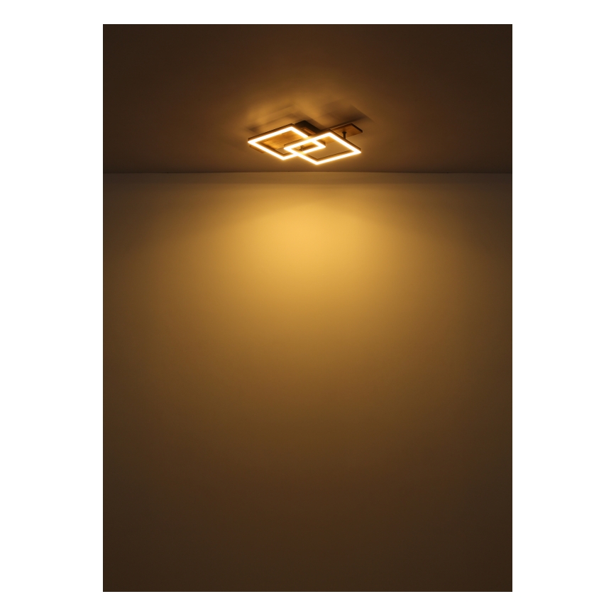 Globo - LED griestu lampa LED/16W/230V 3000K 33x44 cm