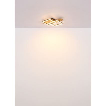 Globo - LED griestu lampa LED/16W/230V 3000K 33x44 cm