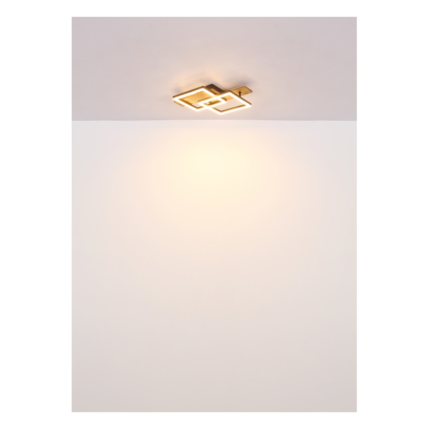 Globo - LED griestu lampa LED/16W/230V 3000K 33x44 cm