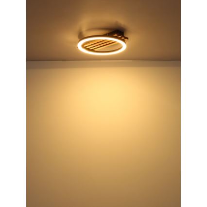 Globo - LED Griestu lampa LED/12W/230V 3000K 30x34 cm