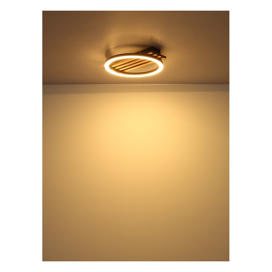 Globo - LED Griestu lampa LED/12W/230V 3000K 30x34 cm
