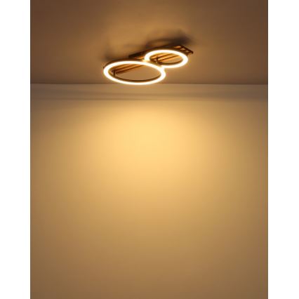Globo - LED Griestu lampa LED/18W/230V 3000K 30x48 cm