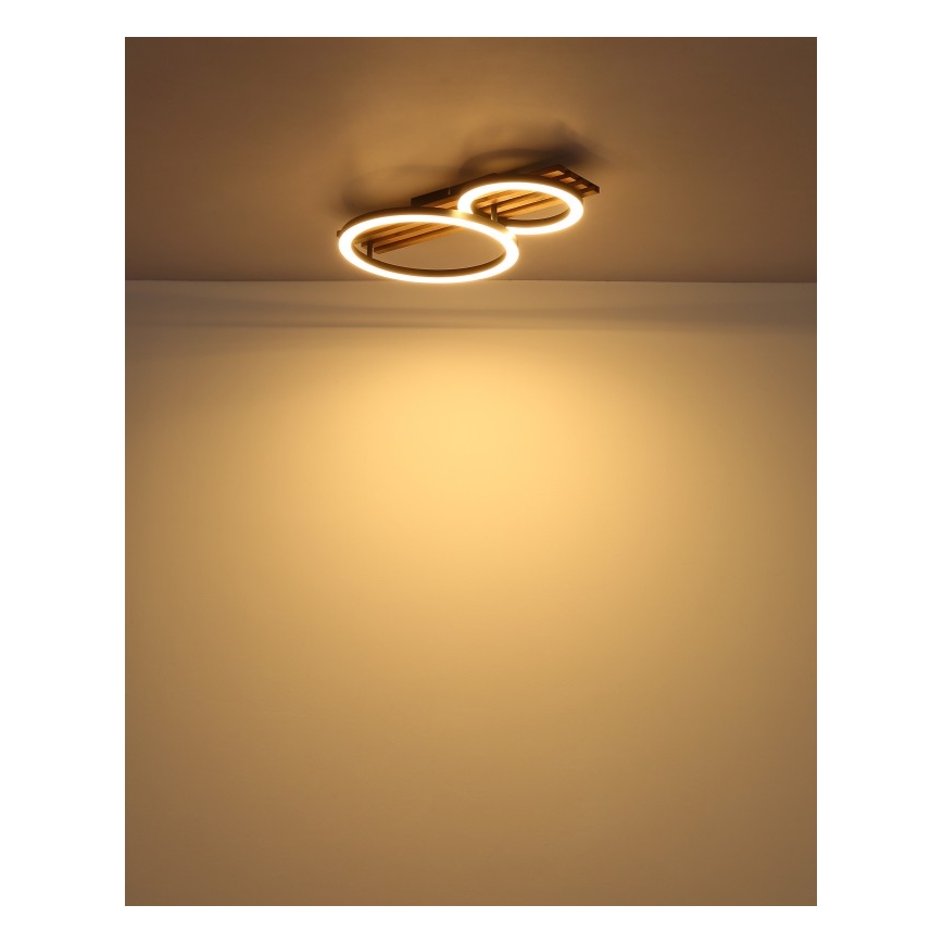 Globo - LED Griestu lampa LED/18W/230V 3000K 30x48 cm