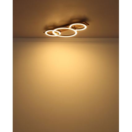 Globo - LED Griestu lampa LED/24W/230V 3000K 30x62 cm