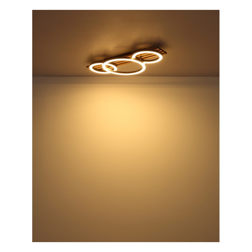 Globo - LED Griestu lampa LED/24W/230V 3000K 30x62 cm