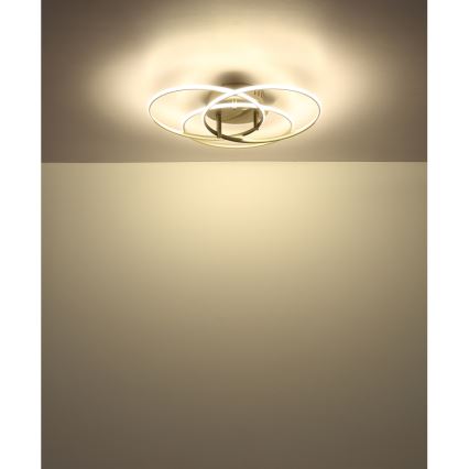 Globo - LED Griestu lampa LED/40W/230V 4000K d. 45,6 cm matēts hroms