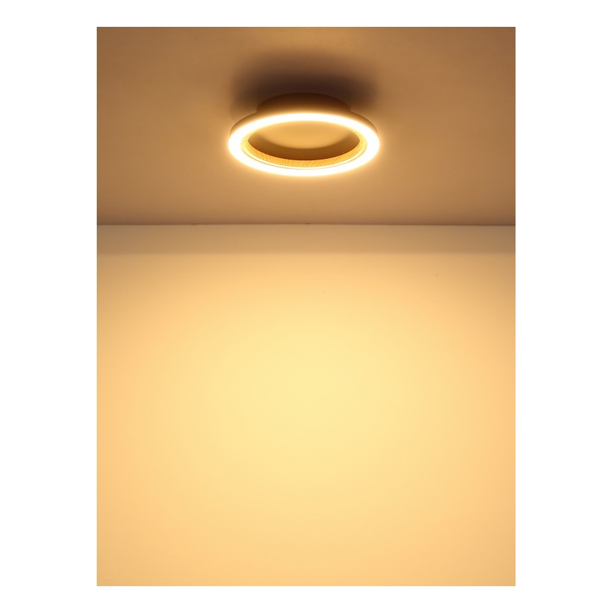 Globo - LED griestu gaismeklis LED/12W/230V 3000K Ø 20,5 cm