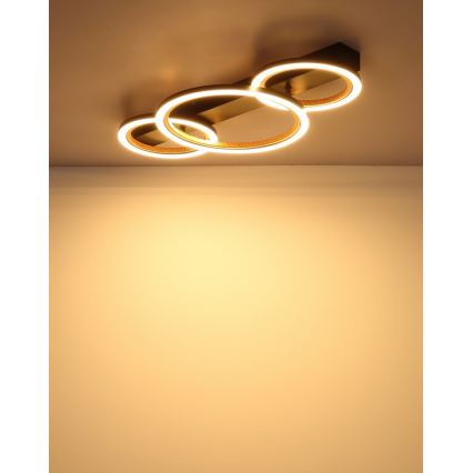 Globo - LED griestu gaismeklis LED/40W/230V 3000K 58x30 cm