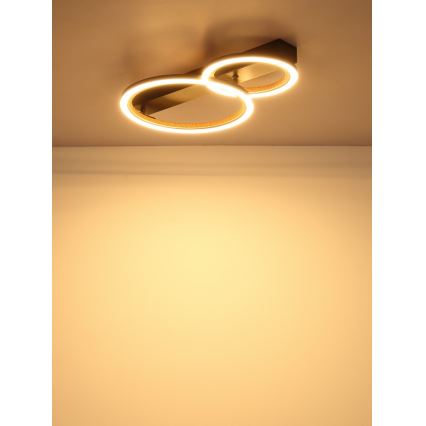 Globo - LED griestu gaismeklis 30W/230V 3000K 44x30 cm