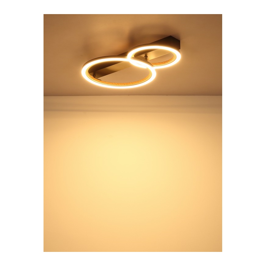 Globo - LED griestu gaismeklis 30W/230V 3000K 44x30 cm