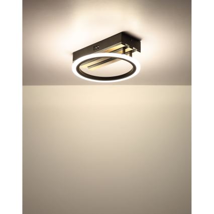 Globo - LED griestu gaismeklis LED/10W/230V 3000/4200/600K 25x25 cm