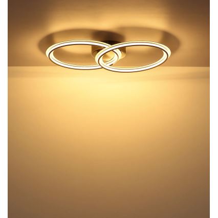 Globo - LED griestu lampa LED/30W/230V 3000K 33x54 cm