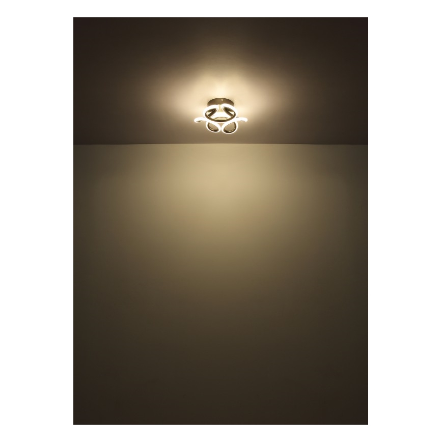 Globo - LED Griestu lampa LED/24W/230V 2700/4000/6000K d. 26 cm melna