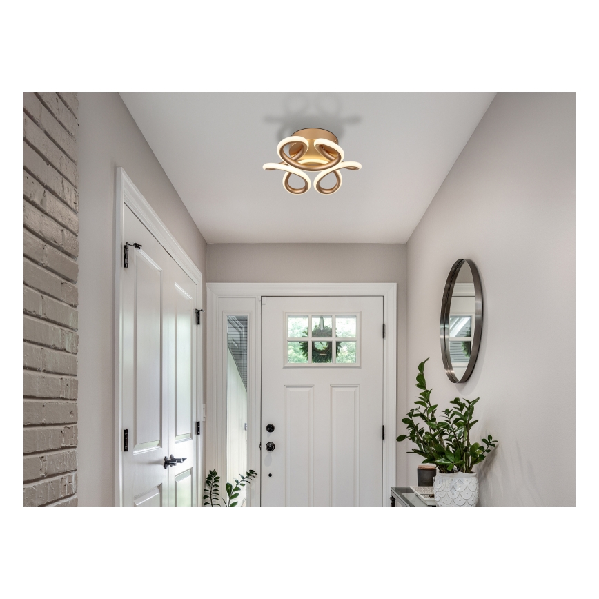 Globo - LED griestu lampa LED/24W/230V 2700/4000/6000K diametrs 26 cm zelta krāsā