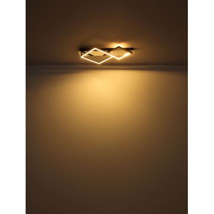 Globo - LED Griestu lampa LED/24W/230V 3000K