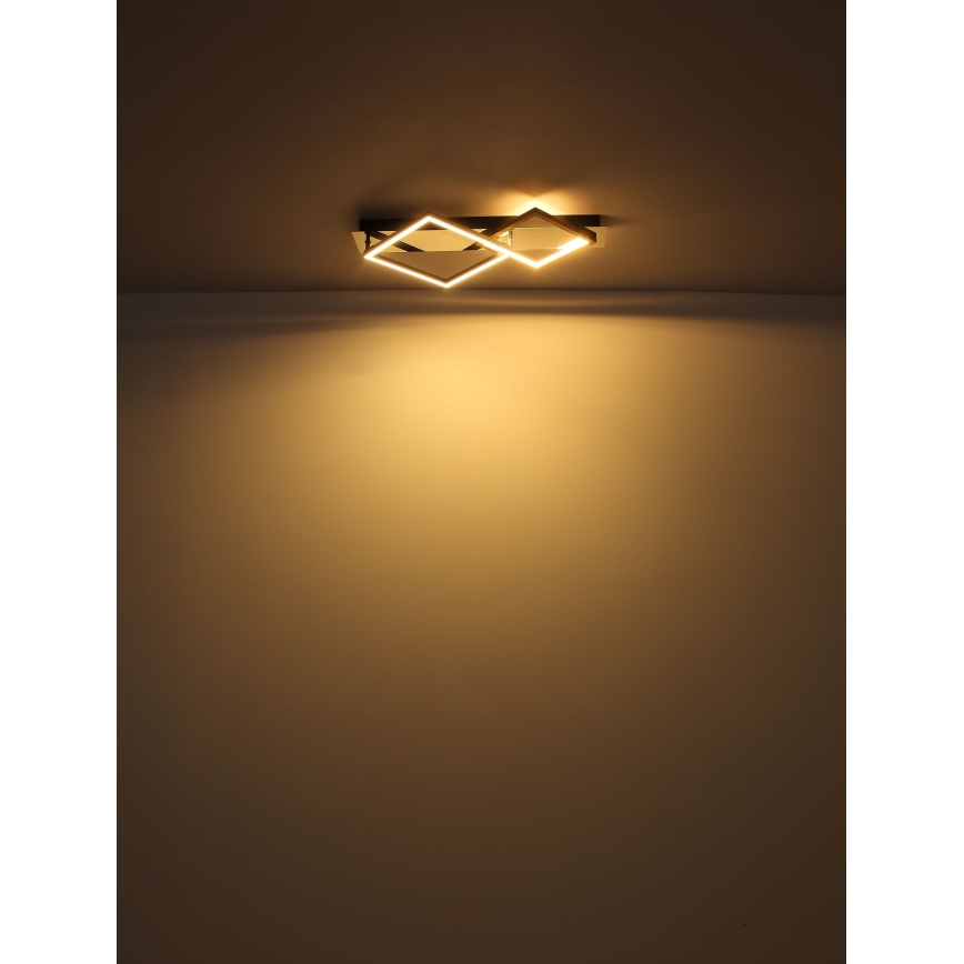 Globo - LED Griestu lampa LED/24W/230V 3000K