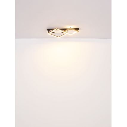 Globo - LED Griestu lampa LED/24W/230V 3000K