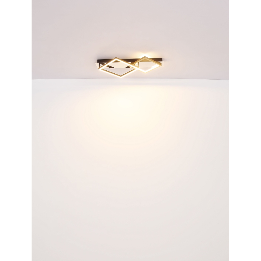 Globo - LED Griestu lampa LED/24W/230V 3000K