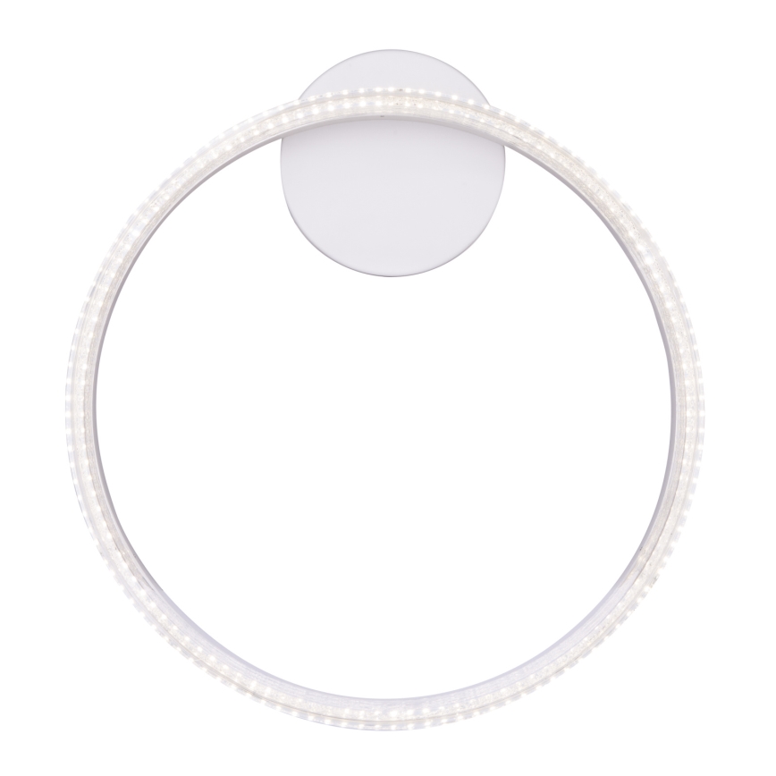 Globo - LED griestu gaismeklis LED/24W/230V