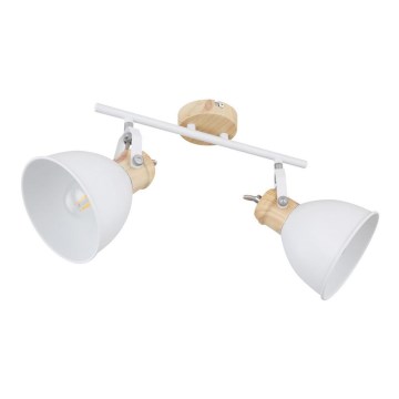 Globo - Lampa 2xE27/40W/230V