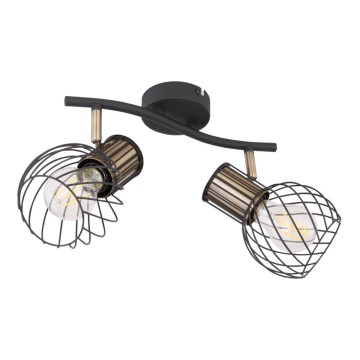 Globo - Lampa 2xE27/40W/230V