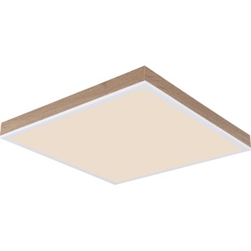 Globo - LED Aptumšojama griestu lampa LED/24W/230V 2700-6500K + tālvadības pults brūna/balta