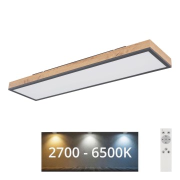 Globo - LED Aptumšojama griestu lampa LED/24W/230V 2700-6500K + tālvadības pults