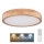 Globo - LED Aptumšojama griestu lampa LED/24W/230V 3000-6000K + tālvadības pults