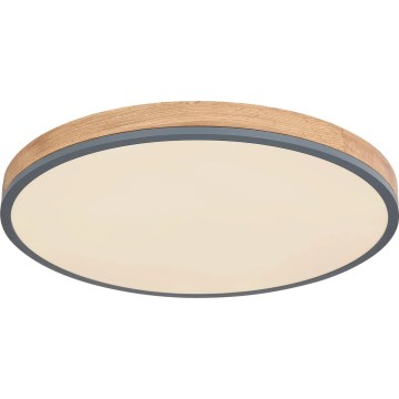 Globo - LED Aptumšojama griestu lampa LED/40W/230V 2700-6500K d. 60 cm + tālvadības pults brūna/pelēka