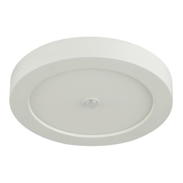 Globo - LED āra griestu gaismeklis ar sensoru LED/18W/230V IP44