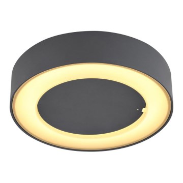 Globo - LED Āra griestu gaismeklis LED/12W/230V IP54