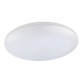 Globo - LED āra griestu gaismeklis LED/24W/230V IP54