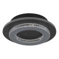 Globo - LED griestu gaismeklis LED/12W/230V 3000/4000/6500K Ø 20 cm antracīts